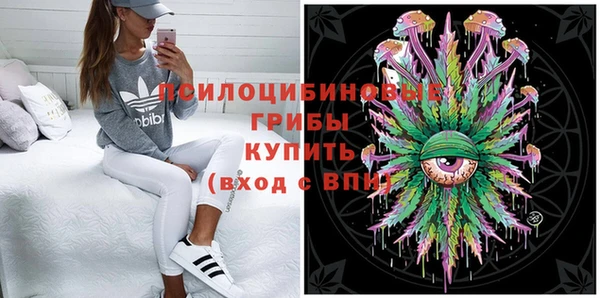молекула духа Армянск