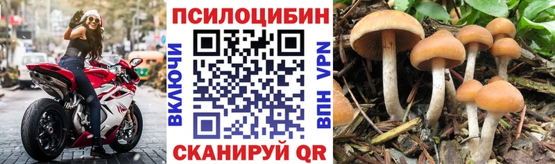 Галлюциногенные грибы мицелий  Миллерово 